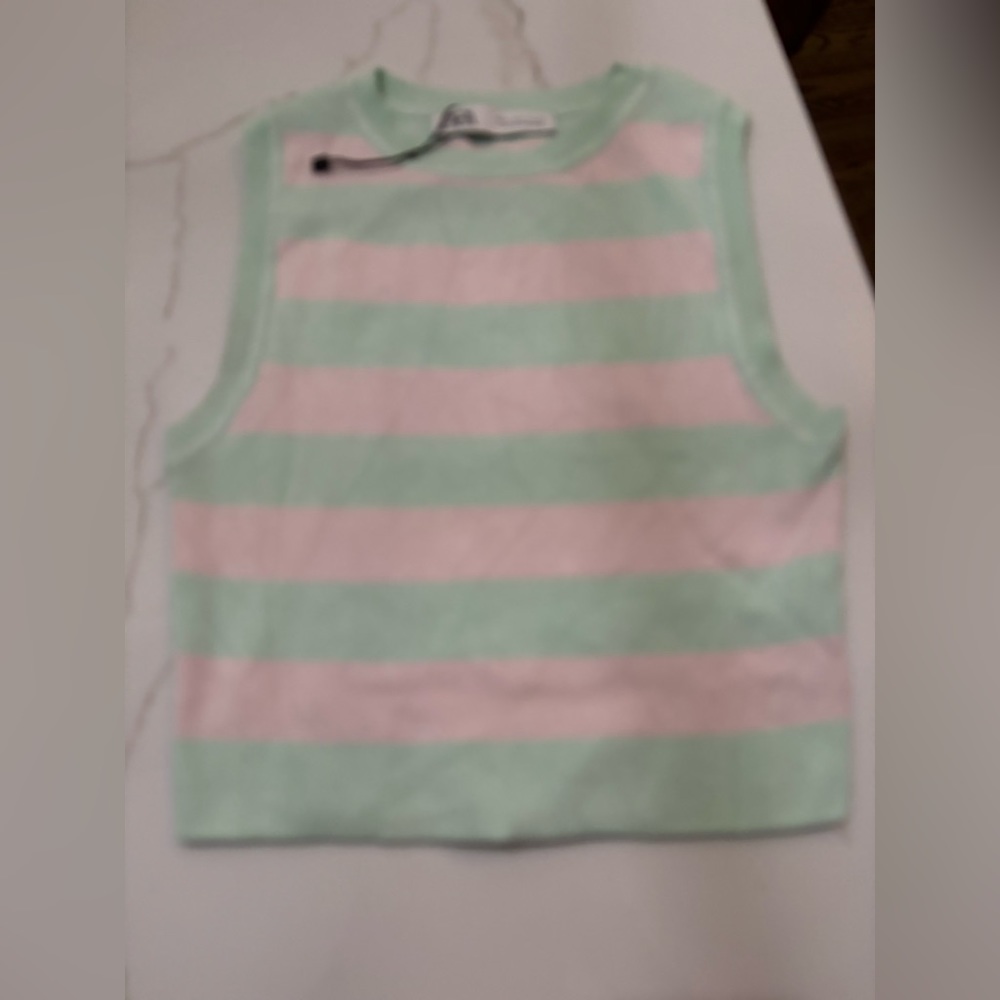 Zara Mint and Pale Pink Striped Cropped Tank Top
